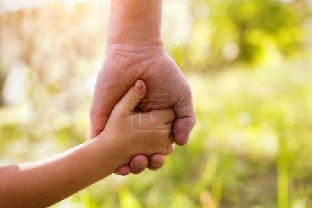 L'ENFANT ADOPTE ET LES DROITS DE SUCCESSION